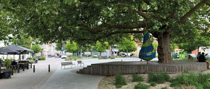 Een bomenplan monitoren? Doe zoals Kortrijk