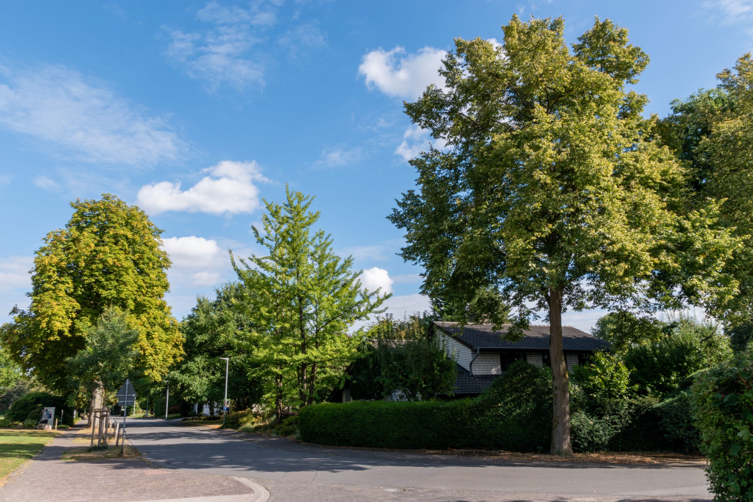 Waar zijn de koelste plekken in uw gemeente?